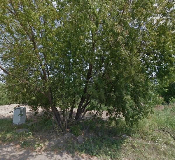 Банкомат Сбербанка России по адресу улица Леона Поземского 102